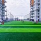 3-bhk-1500-sq-ft-rent-lease-residential-independent-house-villa-in-beltarodi-nagpur-ezwpchcsto Property