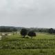 11-bigha-sell-agriculture-farmhouse-farmhouse-land-in-dehradun-entdyhngtk Property