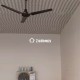 300-sq-ft-rent-lease-commercial-retail-commercial-shop-in-telephone-exchange-square-nagpur-qmivuspnrl Property