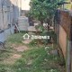 5-bhk-2700-sq-ft-rent-lease-residential-independent-house-villa-in-tulja-nagari-yavatmal-gzrlhqjimb Property