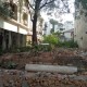 2100-sq-ft-sell-residential-land-plot-in-dhantoli-nagpur-jdodabtmfl Property