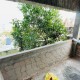 3-bhk-1530-sq-ft-sell-residential-flat-apartment-in-futala-nagpur-rujhtuhnyl Property