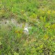 1700-sq-ft-sell-residential-land-plot-in-beltarodi-nagpur-utjpzupftm Property