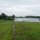 10000-sq-ft-sell-agriculture-farmhouse-farmhouse-land-in-amravati-road-nagpur-onvcllwrwi Property