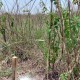 4000-sq-ft-sell-residential-land-plot-in-butibori-nagpur-bcymxlytgi Property