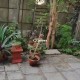 2-bhk-1100-sq-ft-rent-lease-residential-flat-apartment-in-trimurti-nagar-nagpur-mbqldcwrsr Property