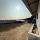 43560-sq-ft-sell-agriculture-farmhouse-farmhouse-land-in-bhandara-road-nagpur-zelwtxewbh Property