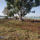 6-acre-rent-lease-commercial-land-land-plots-in-surabardi-nagpur-lyoipamqds Property