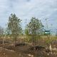 009-sq-ft-sell-agriculture-farmhouse-farmhouse-land-in-hingna-road-nagpur-egofvotilk Property