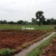 1300-sq-ft-sell-residential-land-plot-in-gandhi-bagh-nagpur-xonglppmhw Property