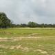11-bigha-sell-agriculture-farmhouse-farmhouse-land-in-dehradun-entdyhngtk Property