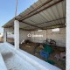 43560-sq-ft-sell-agriculture-farmhouse-farmhouse-land-in-bhandara-road-nagpur-zelwtxewbh Property