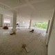 6000-sq-ft-rent-lease-commercial-retail-commercial-showrooms-in-hanuman-nagar-nagpur-labkmntrij Property