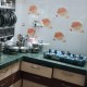 6-bhk-1800-sq-ft-sell-residential-independent-house-villa-in-nandanvan-nagpur-sjoyzkgntb Property
