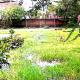 1000-sq-ft-sell-residential-land-plot-in-nara-nagpur-xzplaugoky Property