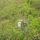 1700-sq-ft-sell-residential-land-plot-in-beltarodi-nagpur-utjpzupftm Property